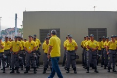 DS Alado - Galeria de imagens Serviços Eventuais - 1
